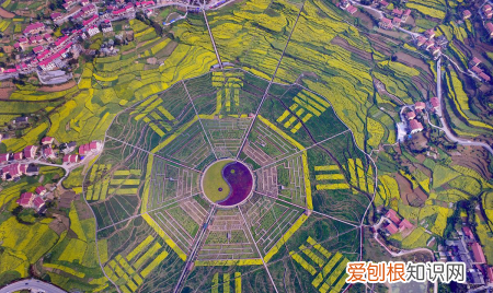 怎么画八卦图，八卦图的画法是什么