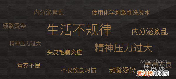 霸王洗发水有用吗