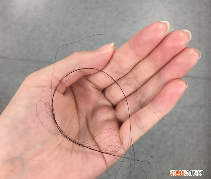 霸王洗发水有用吗