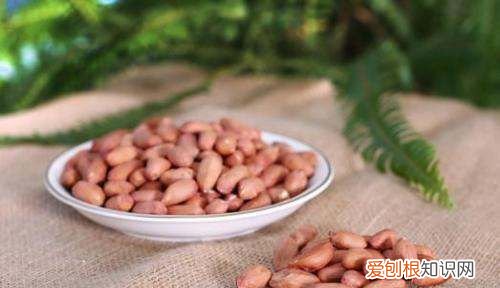 花生为什么叫番豆，广东人叫小孩子叫什么