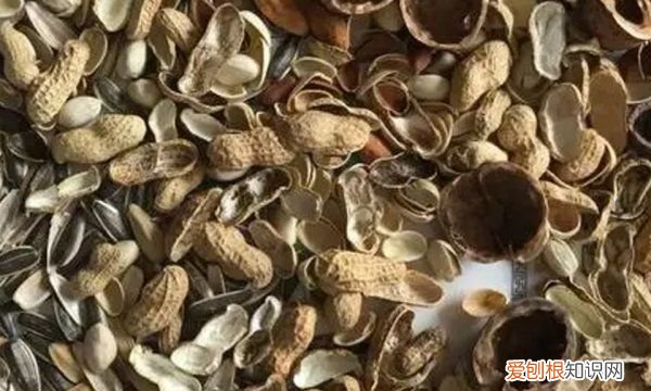 花生是什么垃圾分类，花生的壳属于什么结构