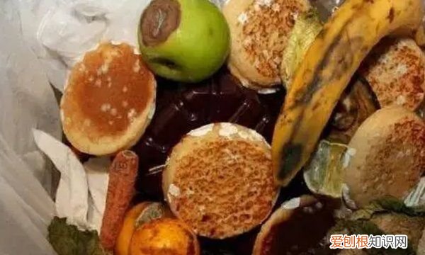 花生是什么垃圾分类，花生的壳属于什么结构