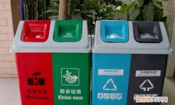 花生是什么垃圾分类，花生的壳属于什么结构