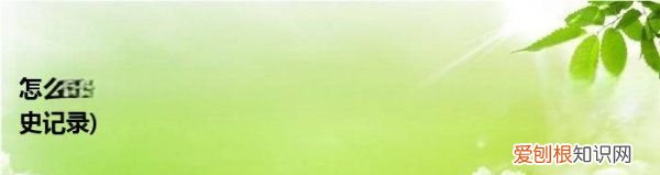 怎么删除浏览器历史记录,如何删除电脑浏览器软件