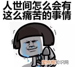 把瓜子当饭吃会发胖吗,瓜子的脂肪酸对肝脏有害吗