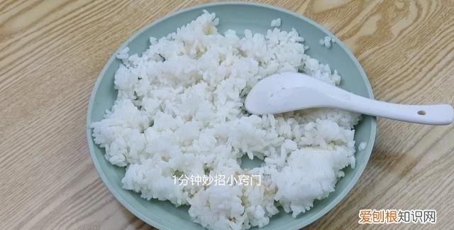 隔夜的米饭到底能不能吃