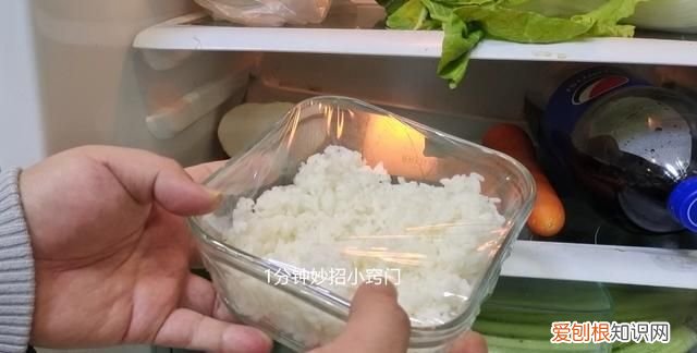 隔夜的米饭到底能不能吃