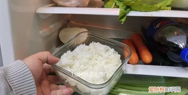 隔夜的米饭到底能不能吃