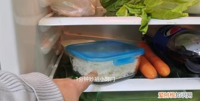 隔夜的米饭到底能不能吃