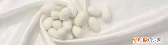 如何识别服装的面料