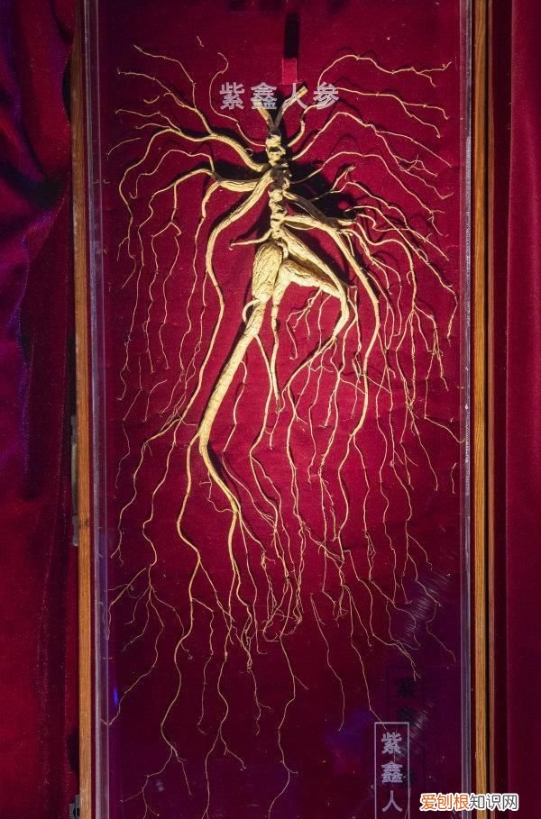 大美柳河宣传片,大美柳河全景图