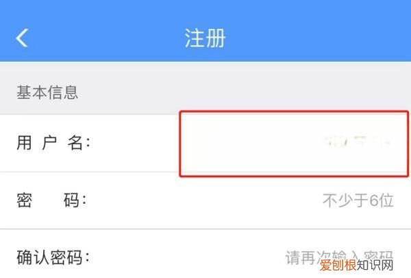 2306注册用户名怎么填写,铁路12306注册用户名怎么填写