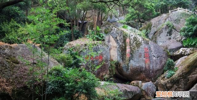 福建海拔最高山峰高岗峰