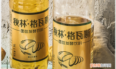 格瓦斯属于什么饮料