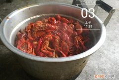 怎样烧龙虾 龙虾才能入味,卤龙虾用什么龙虾好吃一点