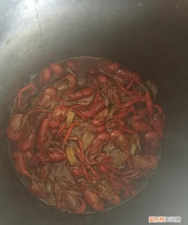 怎样烧龙虾 龙虾才能入味,卤龙虾用什么龙虾好吃一点