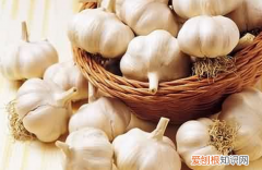 大蒜长出芽了还能吃吗