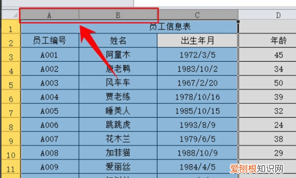 excel表格中间加一行，excel表格隐藏的行怎么恢复