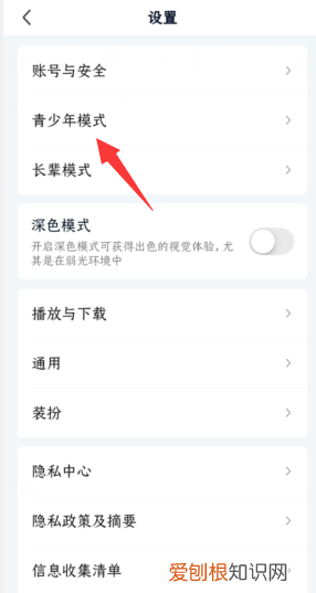 爱奇艺怎么切换青春版，爱奇艺电脑端怎么设置少年模式视频