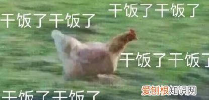 干饭人是什么意思网络语，网络用语干饭人什么意思