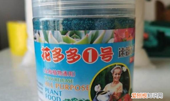 花多多号可以浇多肉，绿萝和虎尾兰可以用花多多号浇水吗