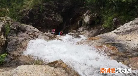 高山流水服务指什么意思，高山流水服务的意思是什么
