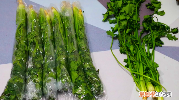 香菜吃不完怎么储存,吃不完的香菜怎么保存