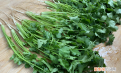 香菜吃不完怎么储存，吃不完的香菜怎么保存