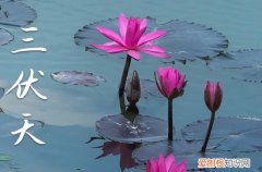 2023年末伏几月几号几分几秒 2023年末伏的具体时间