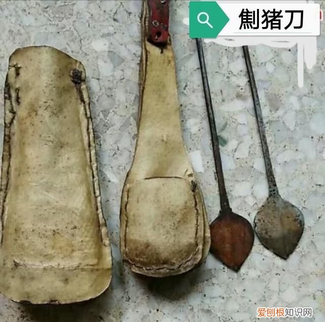 农业支持保护工具有哪些