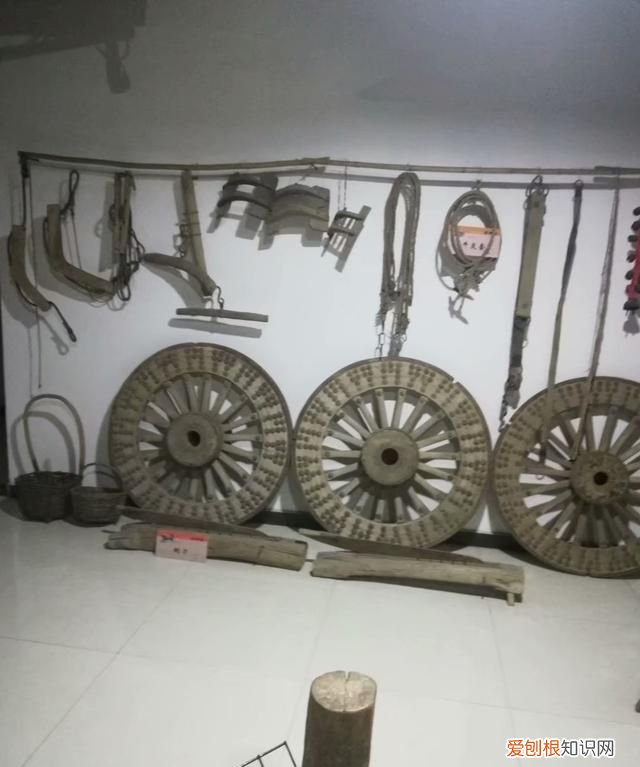农业支持保护工具有哪些