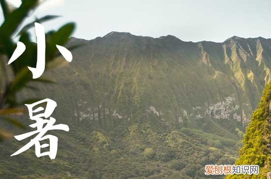 2023年小暑是什么时辰 2023年小暑节气时间