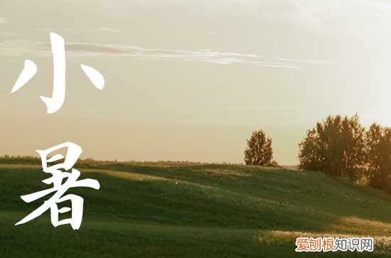 2023小暑是不是入伏 小暑入伏还是大暑入伏