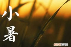 2023年小暑是几月几日几点 2023小暑具体是什么时候