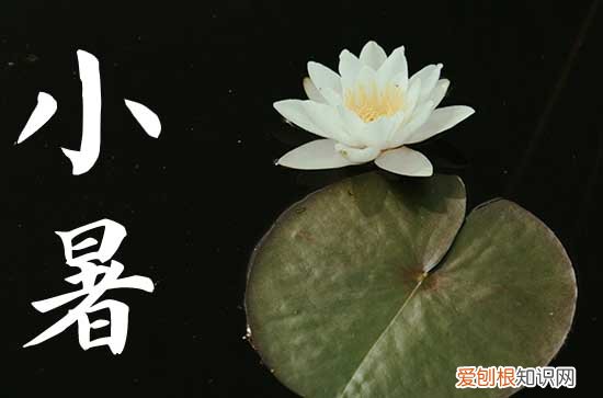 2023年什么时候是小暑节气 2023小暑吃什么