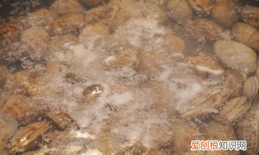 蛤蜊肉用去黑色的东西，花甲肉里面的黑的要不要清理