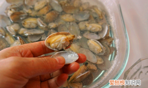 蛤蜊肉用去黑色的东西，花甲肉里面的黑的要不要清理