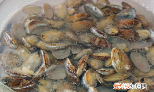 蛤蜊肉用去黑色的东西，花甲肉里面的黑的要不要清理