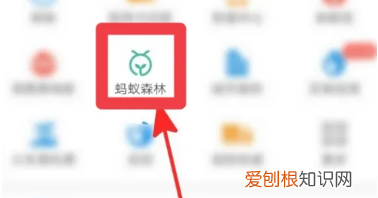 蚂蚁森林怎样开启行走，支付宝蚂蚁森林怎么开启步数产生能量