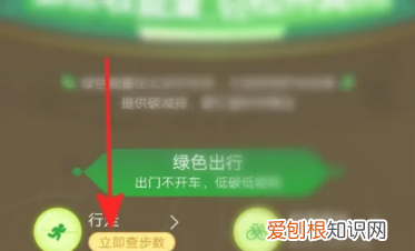 蚂蚁森林怎样开启行走，支付宝蚂蚁森林怎么开启步数产生能量