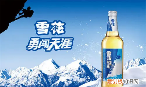 勇闯天涯下一句该怎么接，雪花勇闯天涯下一句顺口溜是什么?