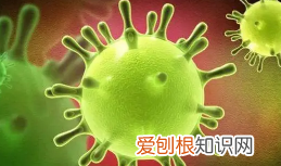 高后果区是什么意思，大沈高速路况查询今天