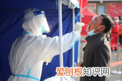 高后果区是什么意思，大沈高速路况查询今天