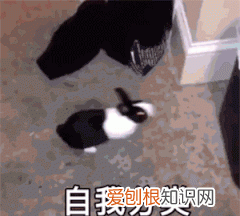 哪些东西属于垃圾