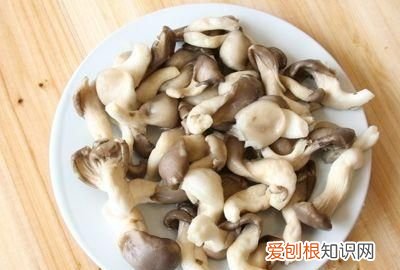 新鲜蘑菇可以放多久不能吃