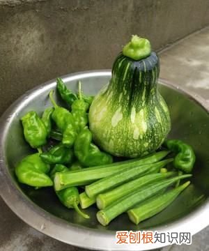 秋葵的头要切掉,秋葵的制作方法怎么做好吃
