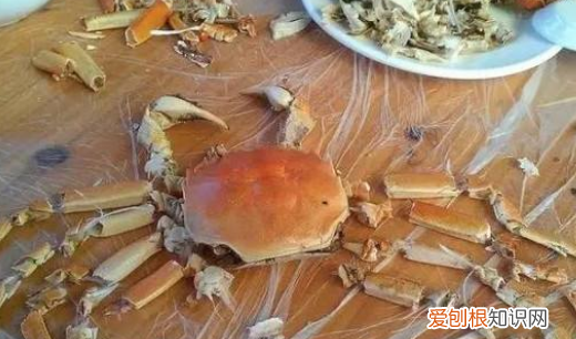 蛏子壳属于哪种垃圾,贝壳是什么垃圾分类