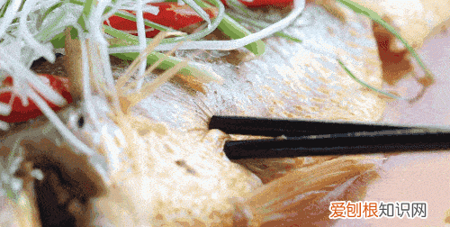 不能吃鱼的孩子怎么补营养