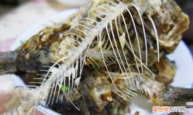 不能吃鱼的孩子怎么补营养