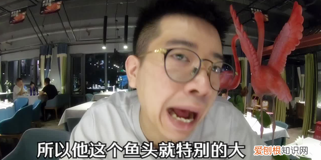 不能吃鱼的孩子怎么补营养